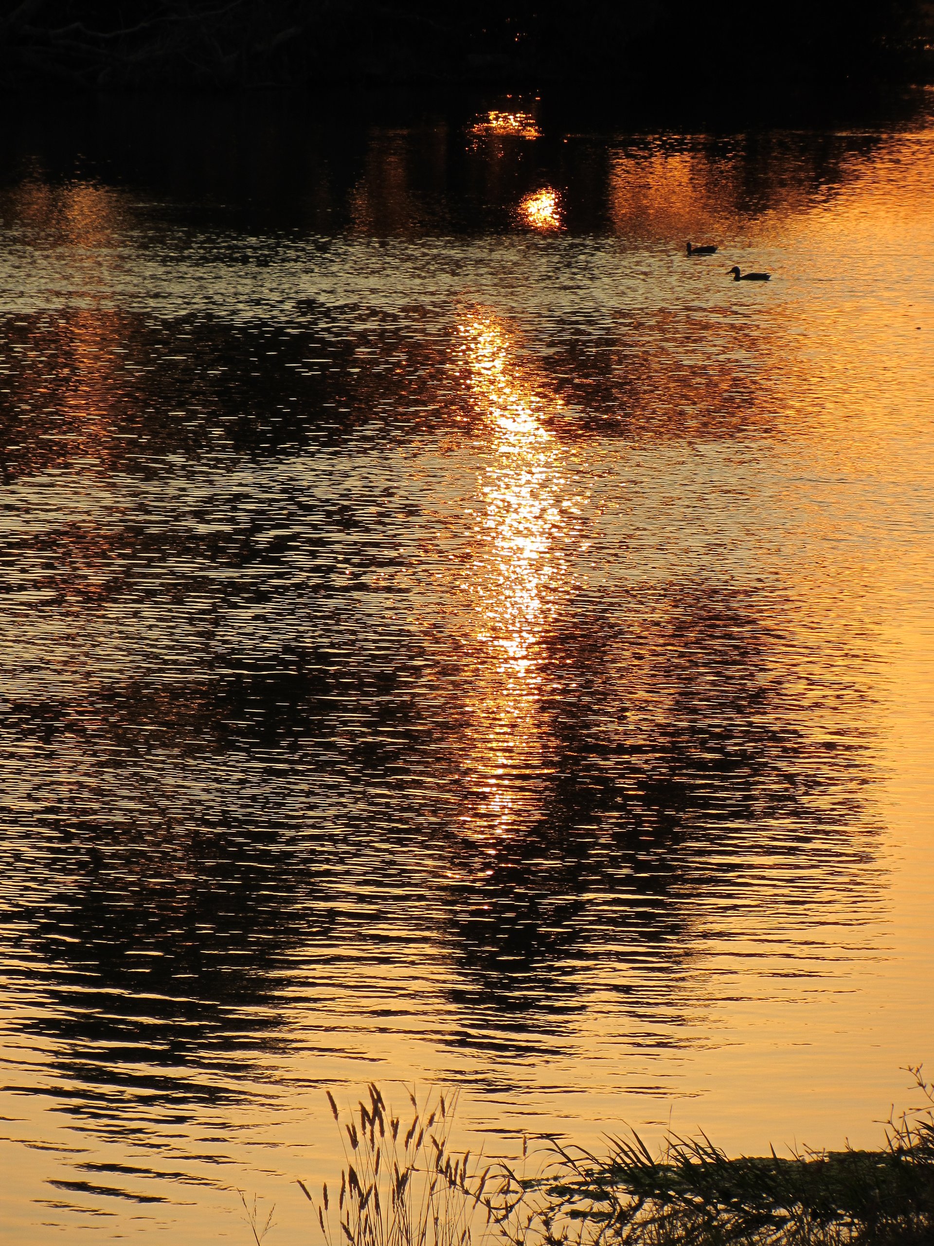 Mérida Río Reflejos